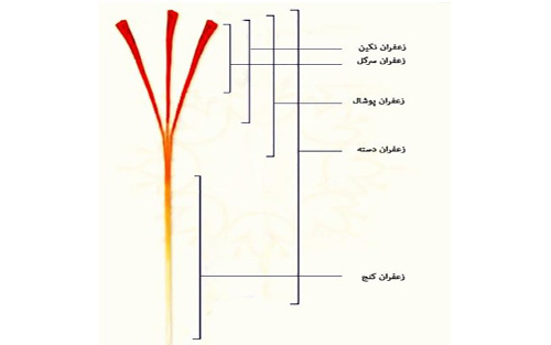 تاجر زعفران در ایران,شرکت زعفران در ایران